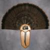 Turkey Tail Mount